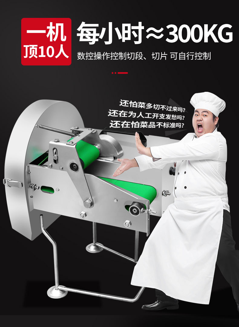 永利yl23411切葱机2