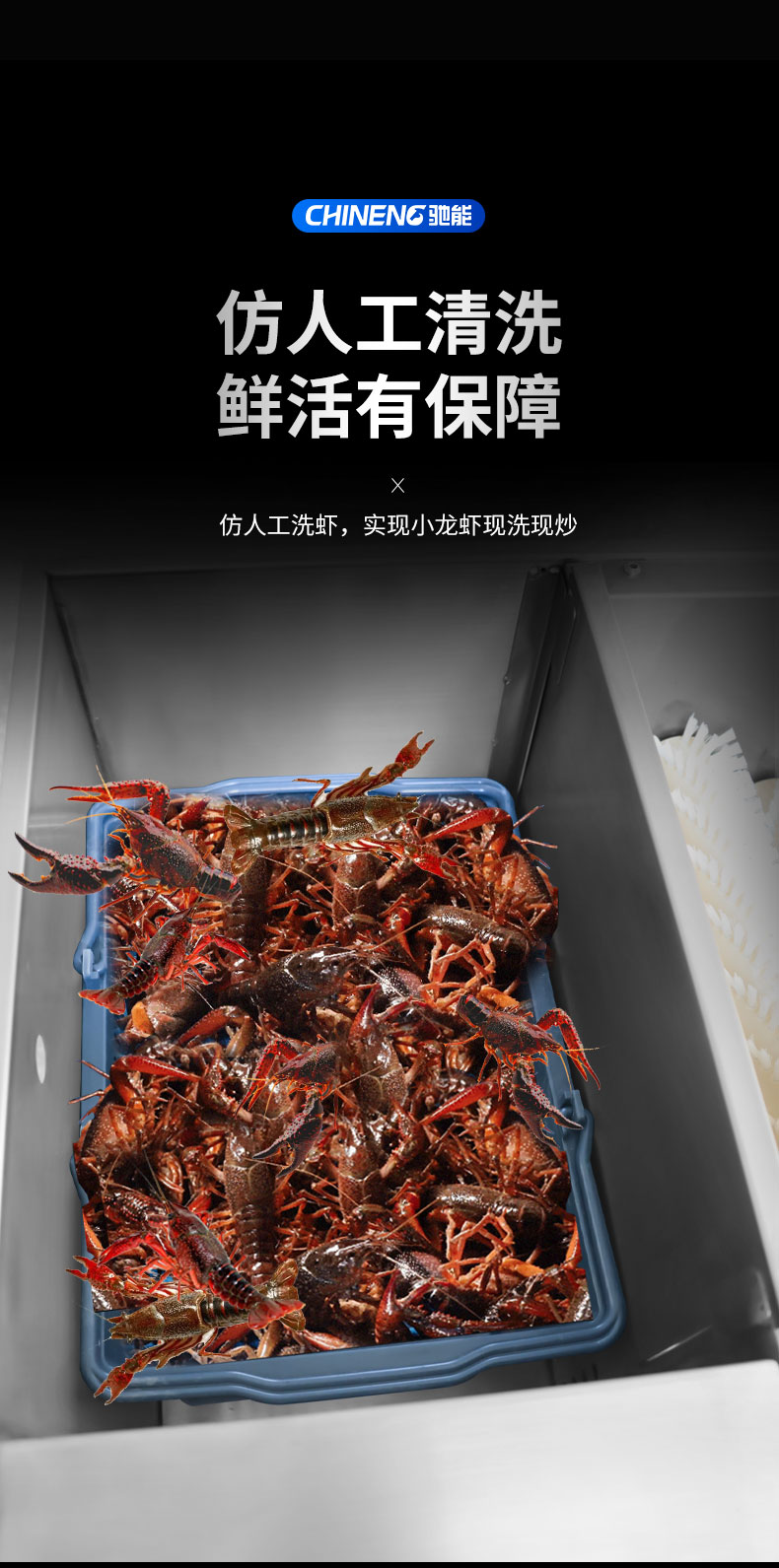 永利yl23411小龙虾清洗机仿人工清洗